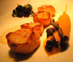 Golden-brown scallops with pumpkin pur�e and parmesan cream with Montecroce extra-virgin olive oil